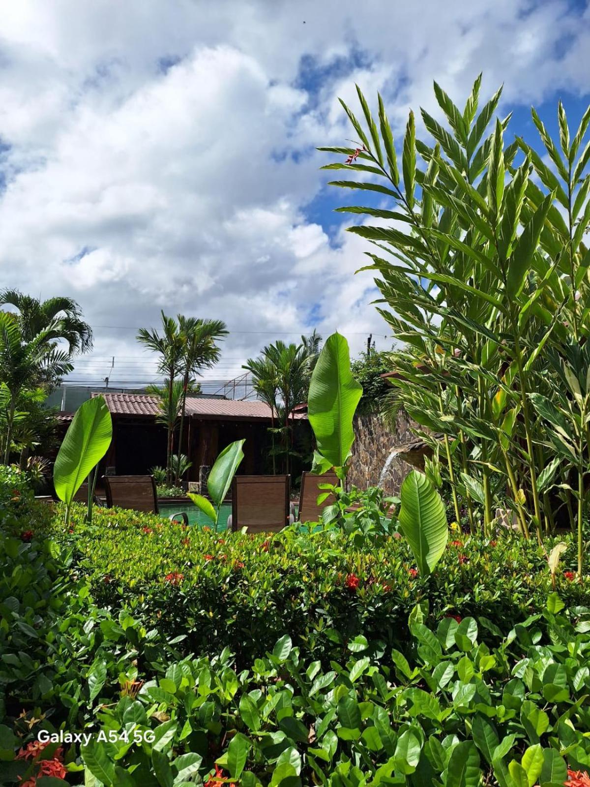 Hotel Iris Arenal La Fortuna Eksteriør billede
